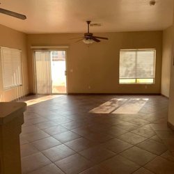 Birds Handyman services