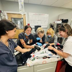 Cape Veterinary Hospital - The team admiring the puppies and a job well done