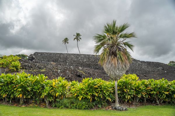 Kahanu Garden, National Tropical Botanical Garden by null