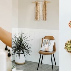 The Prickly Pear Skincare & Wax Bar