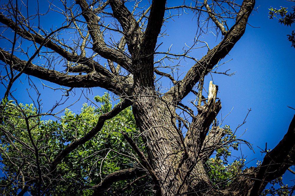 JESTER PARK NATURE CENTER 64 Photos 12130 NW 128th St, Granger
