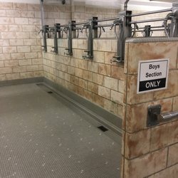 Queens College Aquatics Center - 1 of 4 sections of open showering areas