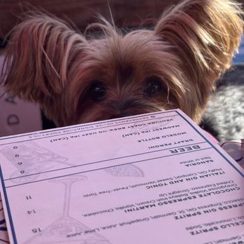 Immigrant Son Caffe - Nala :) - New American Near Me - Ventura, California