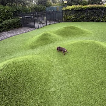 Sanctuary Doral - My pet in the dog park - Apartments Near Me - Doral, Florida Sanctuary Doral - My pet in the dog park - Apartments Near Me - Doral, Florida