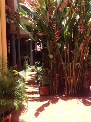 La Chaya Maya Casona by null