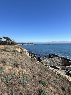Gualala Point Regional Park by null