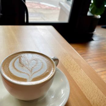 Curio Coffee - A good capp with a quality fern, even with almond milk! / Dec. 2022 - Coffee & Tea Near Me - Cambridge, Massachusetts