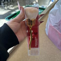 Dollar Tree Store - Rose Blush brush