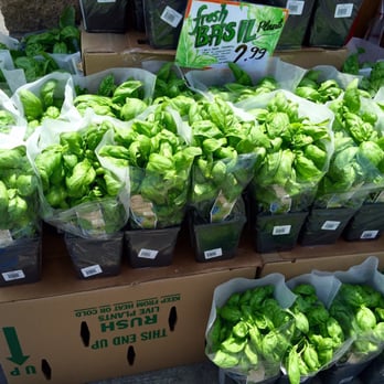 Trader Joe's - You know I'm gettin one of these bad boys!! - Grocery Near Me - South Pasadena, California