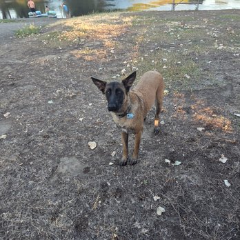 Rainbow Bridge Pets Cremations - Camping - Pet Cremation Services Near Me Rainbow Bridge Pets Cremations - Camping - Pet Cremation Services Near Me