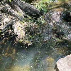 Holiday Highlands Park - Babbling brook