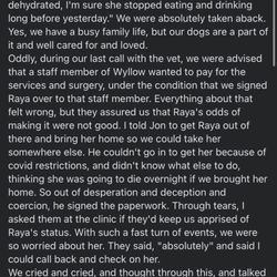 Wyllow Pet Hospital