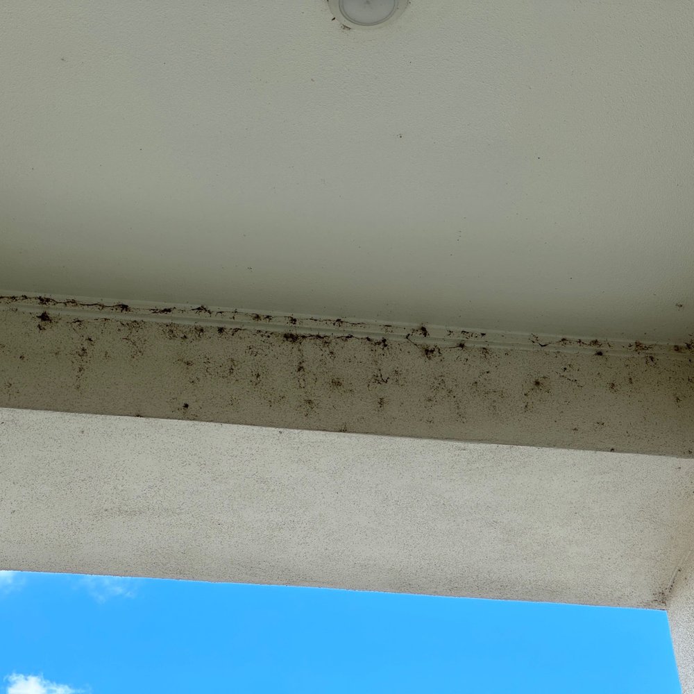 Eastridge - Apartments Near Me - Del Valle, Texas