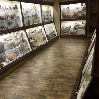 Mississippi Petrified Forest - Museums Near Me - Flora, Mississippi
