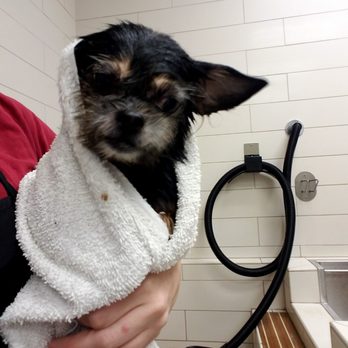 Petco - Pet Stores Near Me - San Diego, California