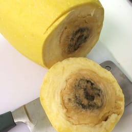 My rotten spaghetti squash, rivaled only by the crap customer service. My rotten spaghetti squash, rivaled only by the crap customer service.