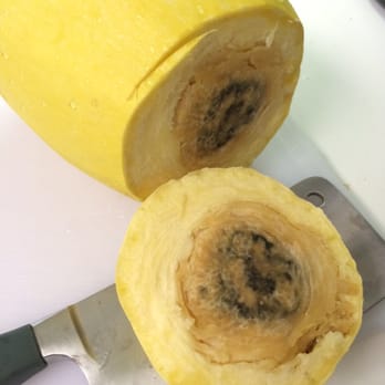 Star Market - My rotten spaghetti squash, rivaled only by the crap customer service. - Grocery Near Me - Cambridge, Massachusetts Star Market - My rotten spaghetti squash, rivaled only by the crap customer service. - Grocery Near Me - Cambridge, Massachusetts