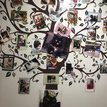 ASPCA Adoption Center - The wall of pet fame at the ASPCA - Animal Shelters Near Me - New York, New York ASPCA Adoption Center - The wall of pet fame at the ASPCA - Animal Shelters Near Me - New York, New York