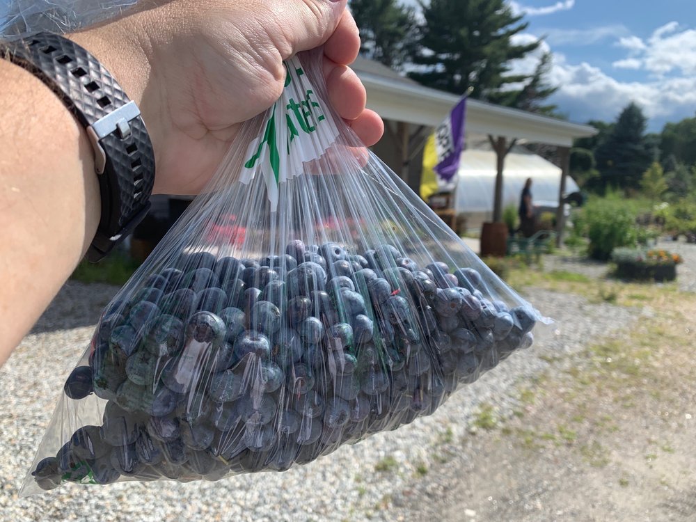 The Earley Farm & Nursery - beekeeping in Wales, ME