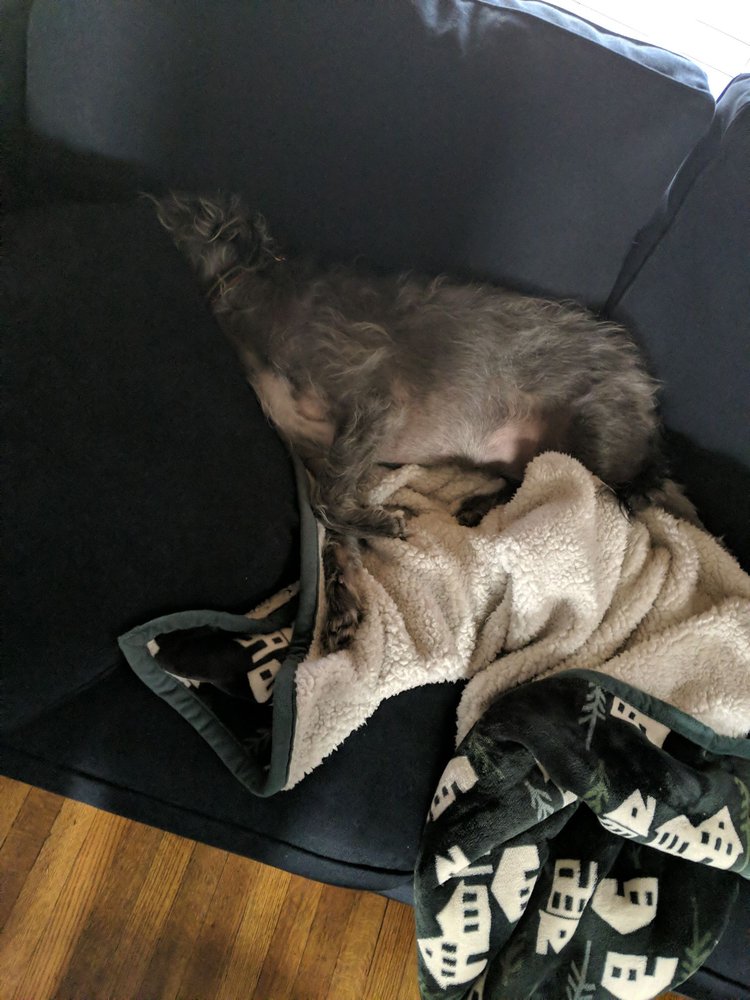 KOHL’S 10201 University Ave, Clive, Iowa Department Stores Phone