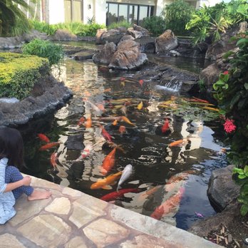Beach Villas at Ko Olina - Koi winding paths. - Resorts Near Me - Kapolei, Hawaii