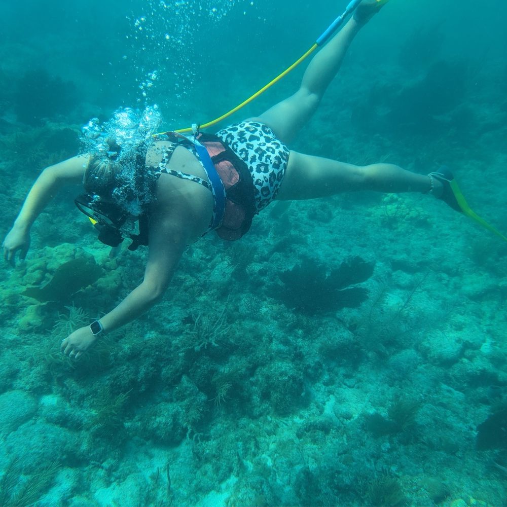 SNUBA Key West - Scuba Diving Near Me - Key West, Florida SNUBA Key West - Scuba Diving Near Me - Key West, Florida