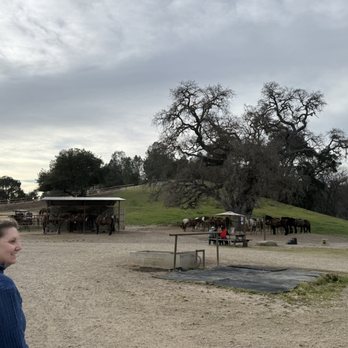 Central Coast Trailrides - Horseback Riding Near Me