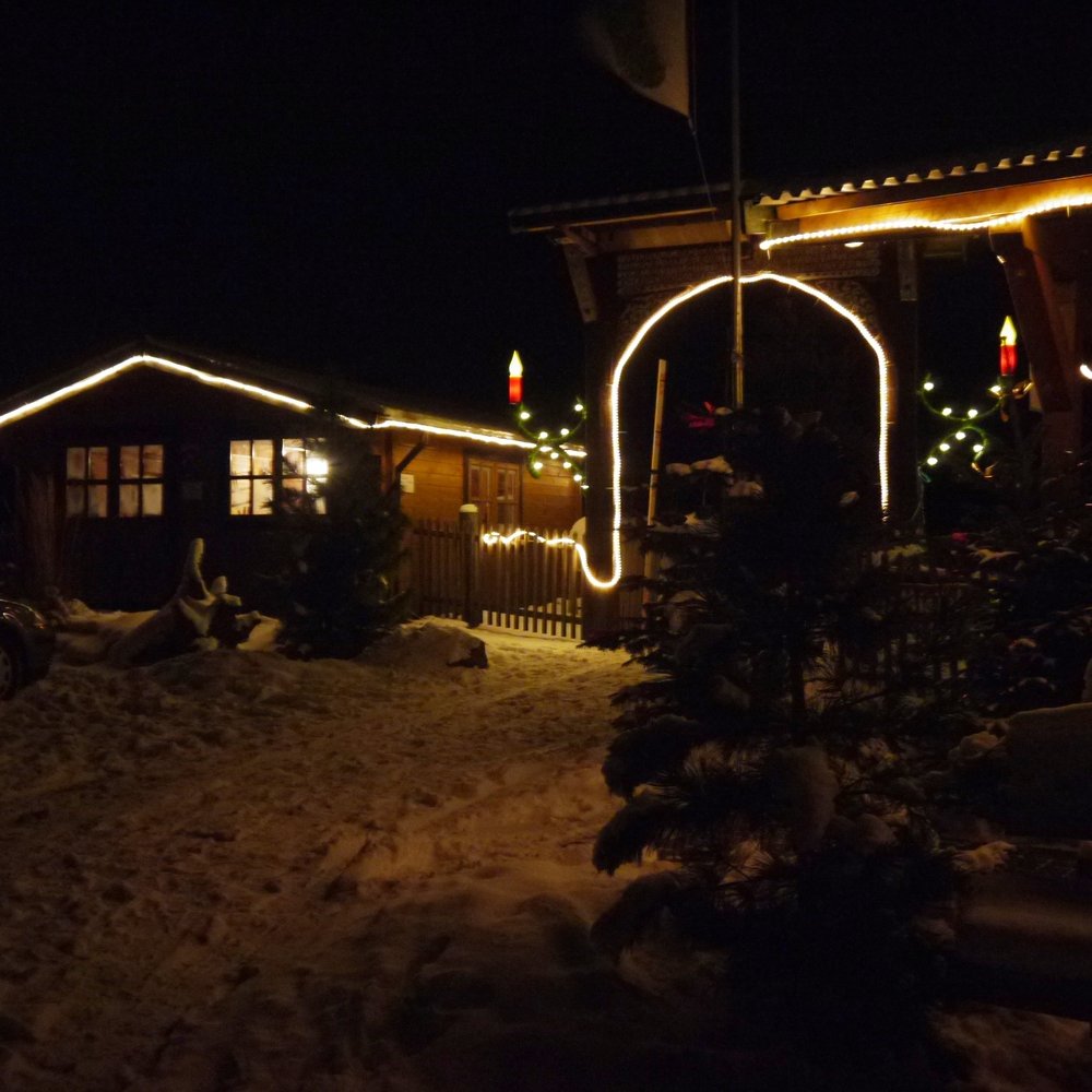 Top Options for Weihnachtsbaum in Hattorf am Harz, Niedersachsen, Germany - Updated 2026