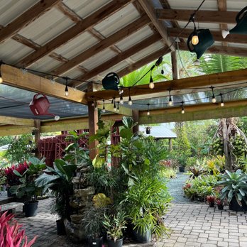Flamingo Road Nursery - Nurseries & Gardening Near Me - Davie, Florida