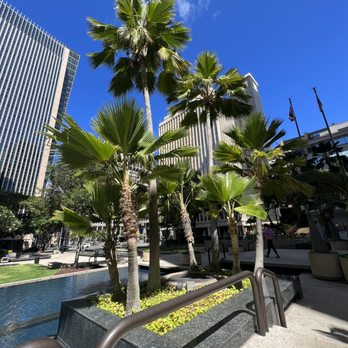 Bishop Square - Parks Near Me - Honolulu, Hawaii Bishop Square - Parks Near Me - Honolulu, Hawaii