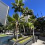 Photo of Bishop Square