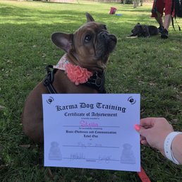 Graduate! Graduate!
