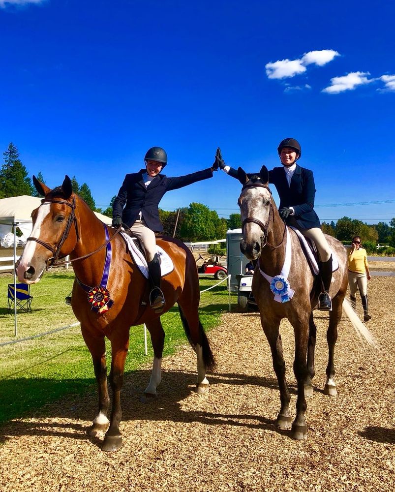 Swan Training - equestrian in Wilsonville, OR