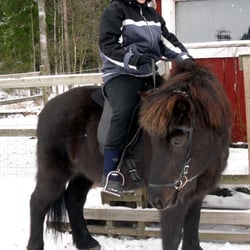 Talli Fageräng