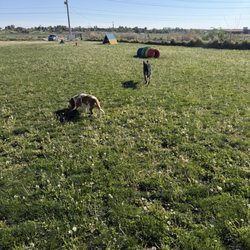 Unleashed Unlimited Private Dog Park