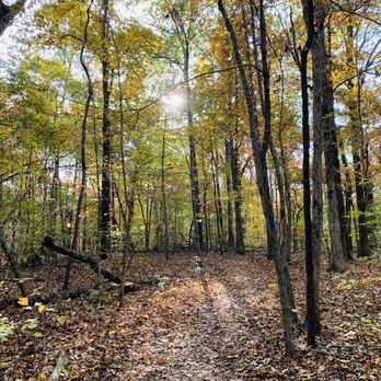 Short Springs State Natural Area - Machine Falls, Laurel Bluff, and Adams Falls Loops - Parks Near Me - Tullahoma, Tennessee