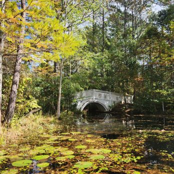 Cypress Gardens - Parks Near Me - Moncks Corner, South Carolina Cypress Gardens - Parks Near Me - Moncks Corner, South Carolina