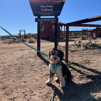 Wire Pass Trailhead - Hiking Near Me - Kanab, Utah