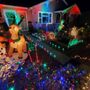 Photo of Lil Garden Of Lights