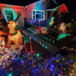 Lil Garden Of Lights