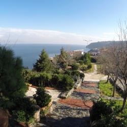 Çamlı Kahve