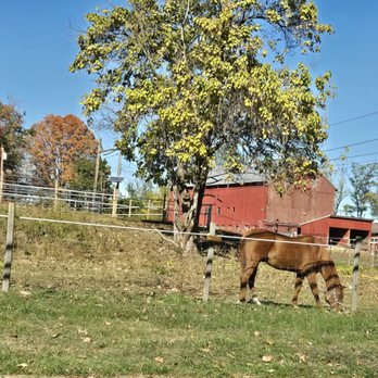 Colonial Park - Grazing horses - Parks Near Me - Franklin Township, New Jersey Colonial Park - Grazing horses - Parks Near Me - Franklin Township, New Jersey