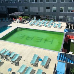 Pool filled with green algae. Yucky! Pool filled with green algae. Yucky!