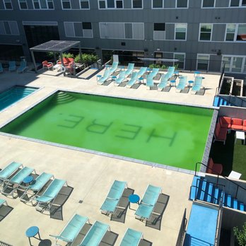 HERE Kansas - Pool filled with green algae. Yucky! - Apartments Near Me - Lawrence, Kansas HERE Kansas - Pool filled with green algae. Yucky! - Apartments Near Me - Lawrence, Kansas