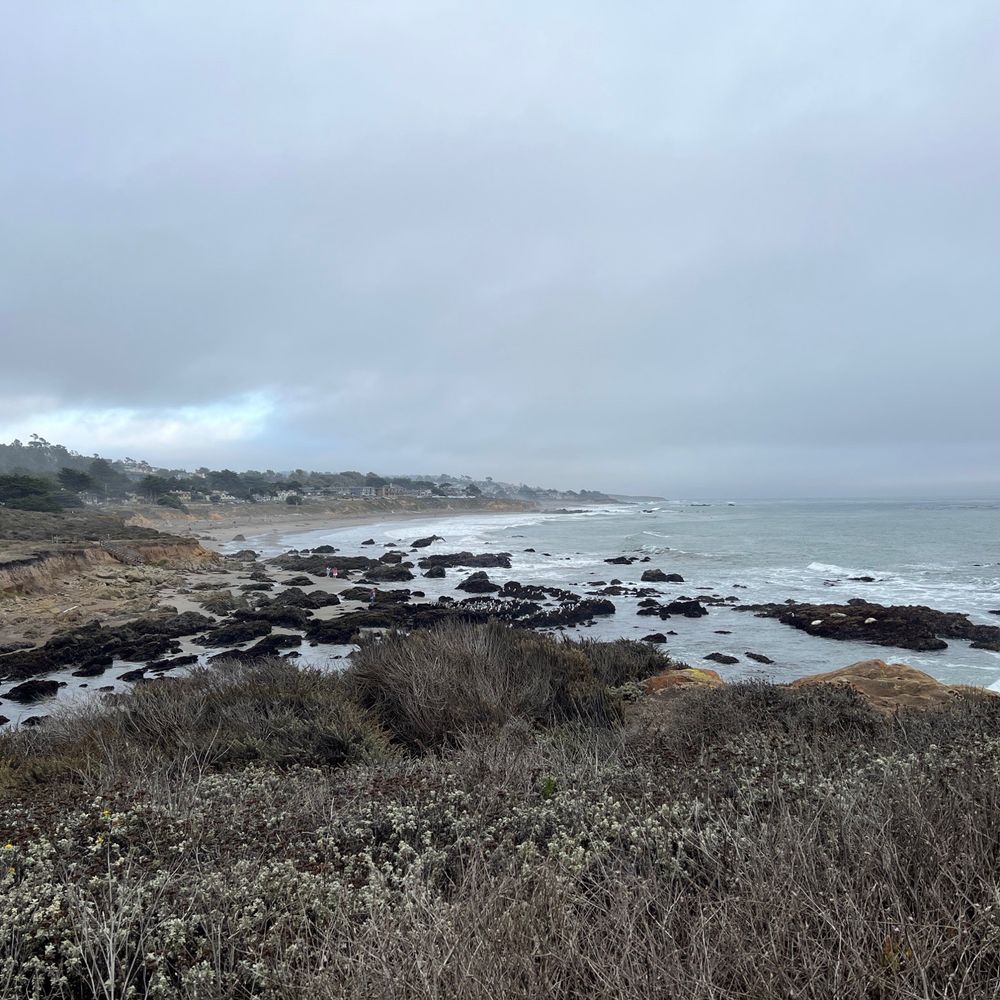 White Water - Moonstone beach across the way - Hotels Near Me - Cambria, California White Water - Moonstone beach across the way - Hotels Near Me - Cambria, California