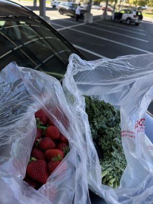 Rose Garden Farmer's Market by null