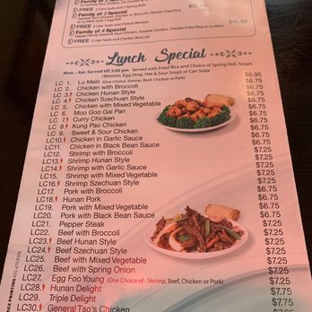 Panda Cafe - Lunch special. You get to pick either egg roll, soup, or a can of soda. - Chinese Near Me - Leesburg, Virginia