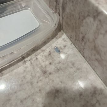 The ISO - Dried up contact we found. Bad clean job - Hotels Near Me - Kapaa, Hawaii The ISO - Dried up contact we found. Bad clean job - Hotels Near Me - Kapaa, Hawaii