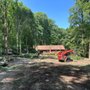 Photo of Blanford's Tree Service