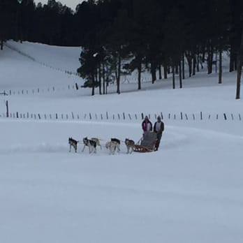 Durango Dog Ranch - Ranches Near Me